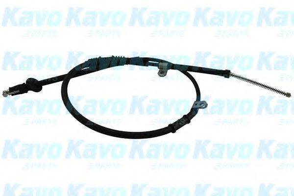 KAVO PARTS BHC5520 Трос, стояночная тормозная система