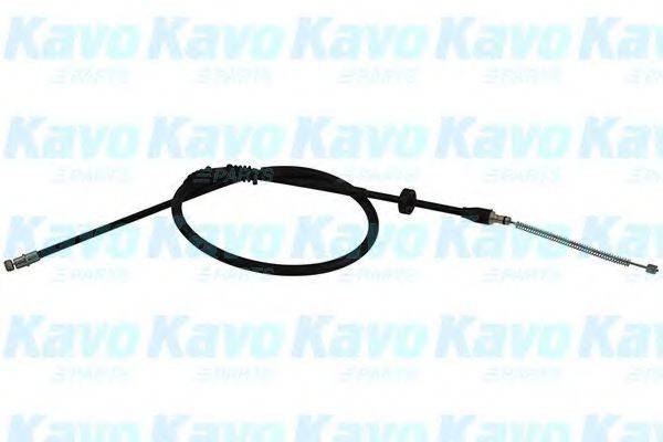 KAVO PARTS BHC5554 Трос, стояночная тормозная система