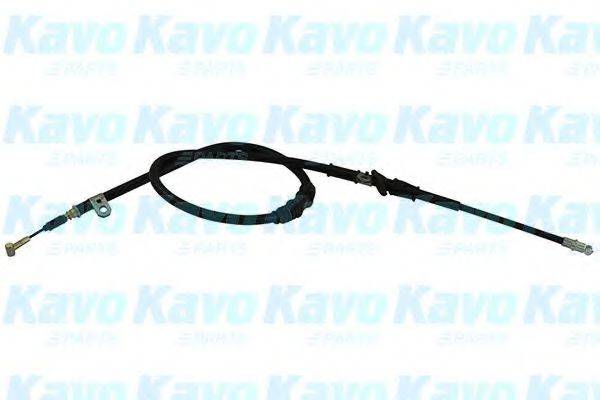 KAVO PARTS BHC5558 Трос, стояночная тормозная система