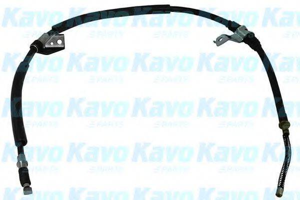 KAVO PARTS BHC5562 Трос, стояночная тормозная система