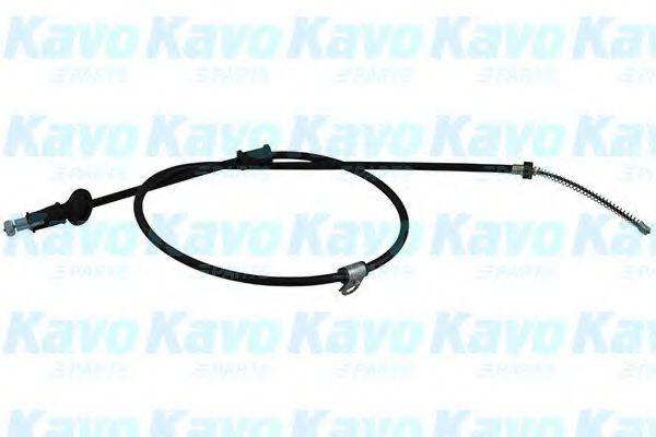 KAVO PARTS BHC5578 Трос, стояночная тормозная система