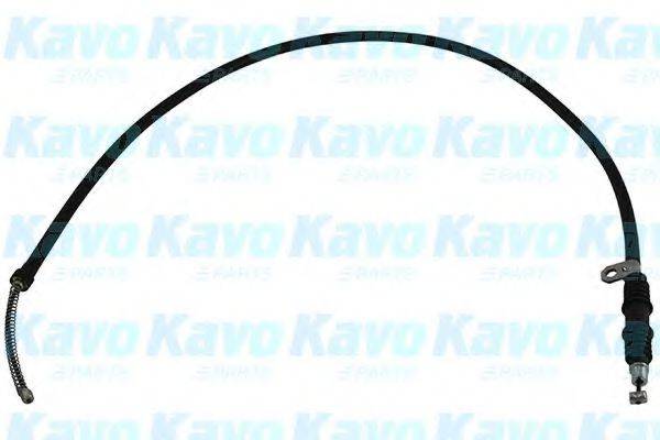 KAVO PARTS BHC5579 Трос, стояночная тормозная система