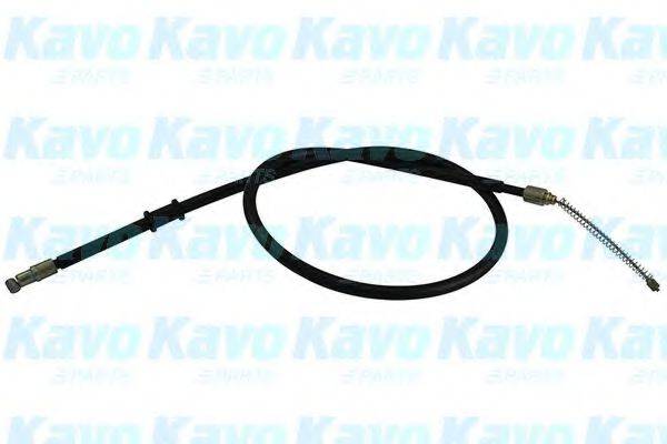 KAVO PARTS BHC5593 Трос, стояночная тормозная система