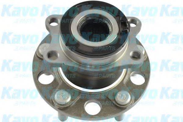 KAVO PARTS WBH5536 Комплект подшипника ступицы колеса