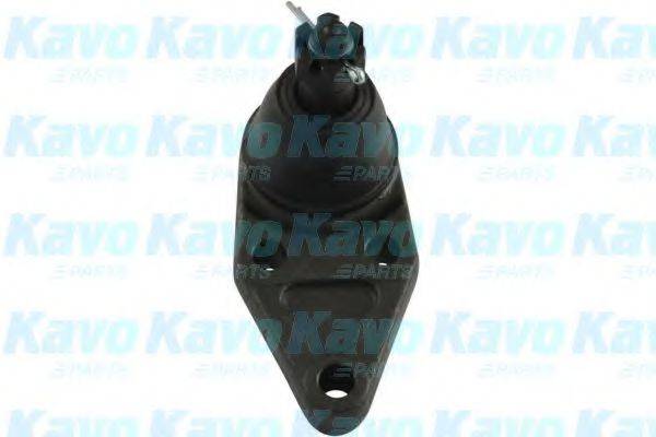 KAVO PARTS SBJ5528 Несущий / направляющий шарнир