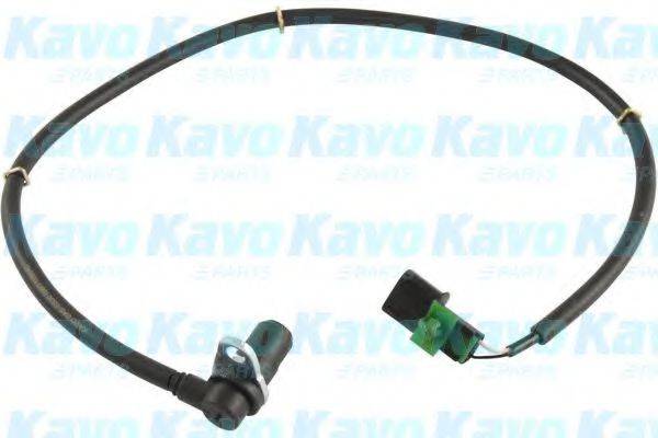 KAVO PARTS BAS5530 Датчик, частота вращения колеса