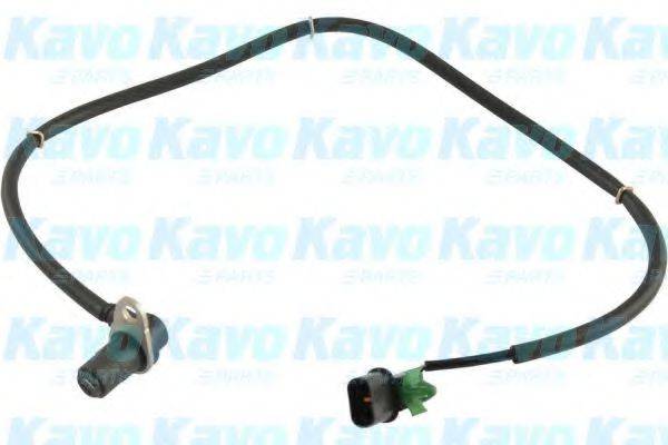 KAVO PARTS BAS5531 Датчик, частота вращения колеса