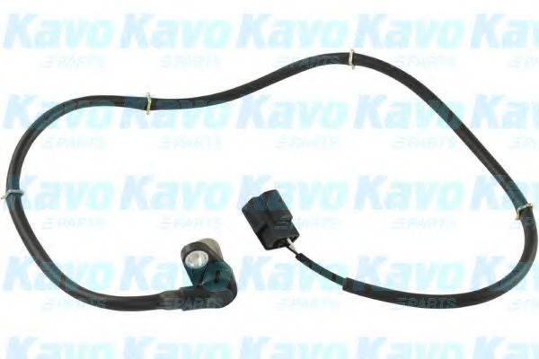 KAVO PARTS BAS5546 Датчик, частота вращения колеса