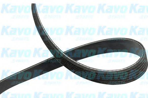 KAVO PARTS DMV3052 Поликлиновой ремень