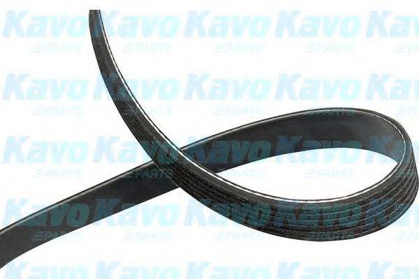 KAVO PARTS DMV4549 Поликлиновой ремень