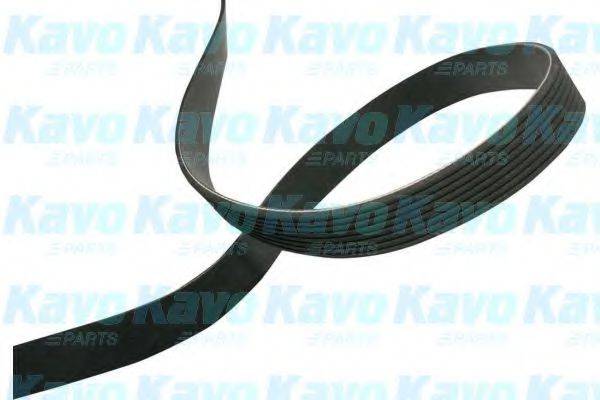 KAVO PARTS DMV9120 Поликлиновой ремень