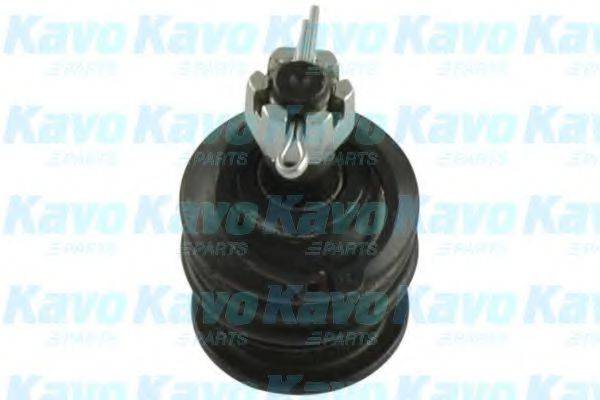 KAVO PARTS SBJ9065 Несущий / направляющий шарнир