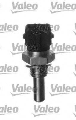 VALEO 700029