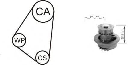 AIRTEX WPK116402 Водяной насос + комплект зубчатого ремня