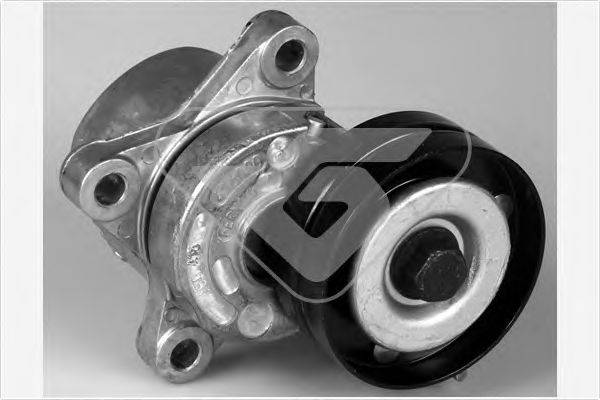HUTCHINSON T0252 Натяжной ролик, поликлиновой  ремень
