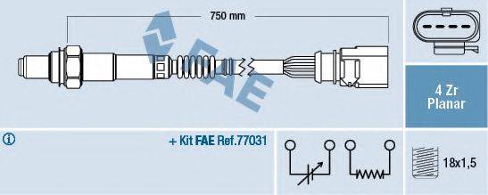 FAE 77901