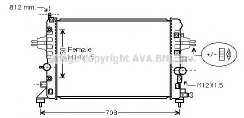 AVA QUALITY COOLING OL2482 Радиатор, охлаждение двигателя