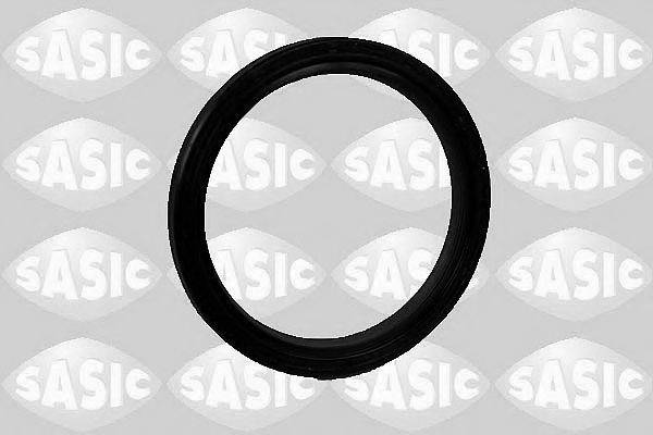 SASIC 1950004 Уплотняющее кольцо, дифференциал