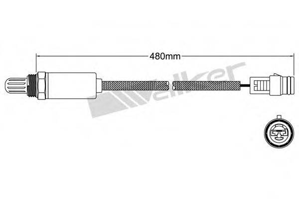 WALKER PRODUCTS 250-21009