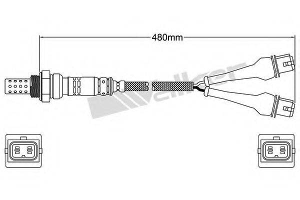 WALKER PRODUCTS 25024579 Лямбда-зонд