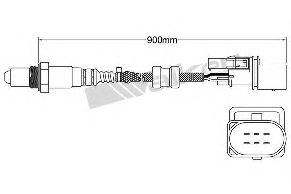 WALKER PRODUCTS 250-25003