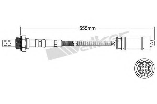 WALKER PRODUCTS 250-24125