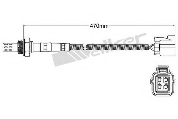 WALKER PRODUCTS 25024496 Лямбда-зонд