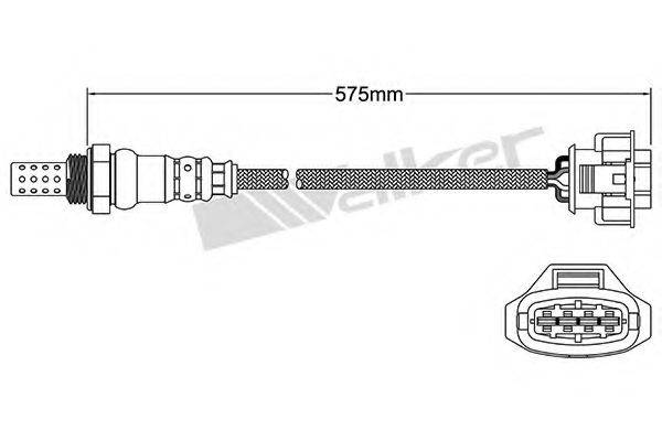 WALKER PRODUCTS 25024648 Лямбда-зонд