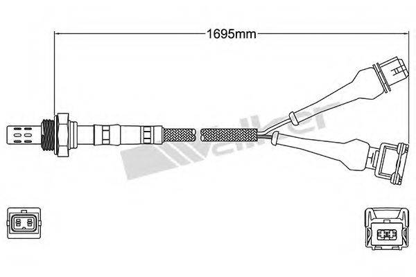 WALKER PRODUCTS 25024145 Лямбда-зонд