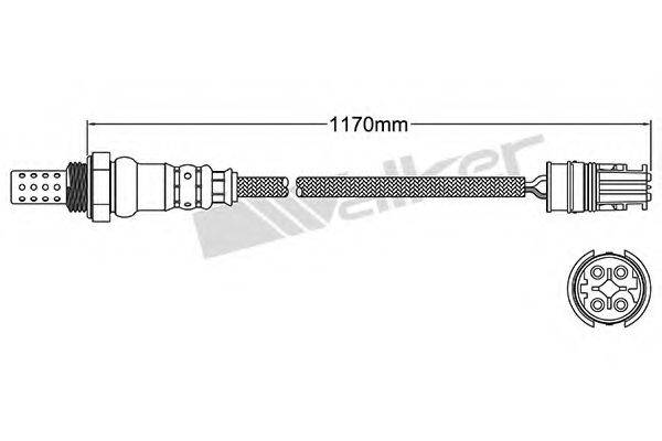 WALKER PRODUCTS 25024595 Лямбда-зонд