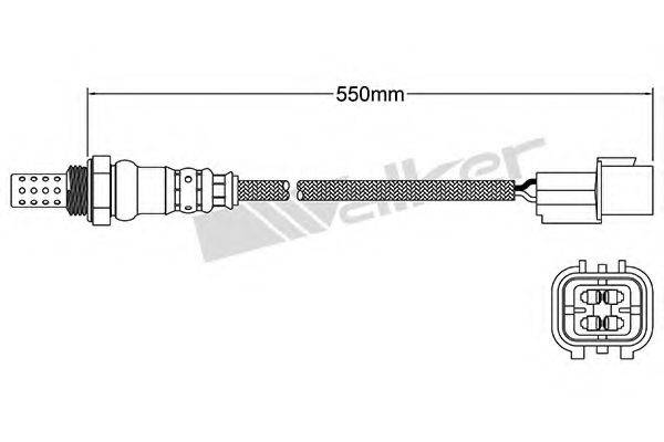 WALKER PRODUCTS 25024779 Лямбда-зонд