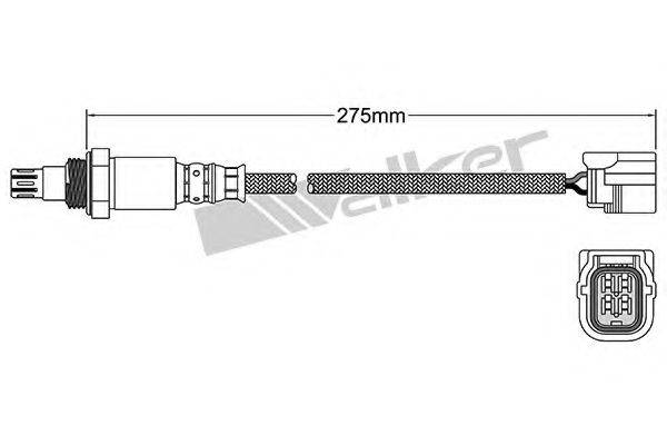 WALKER PRODUCTS 250-54041