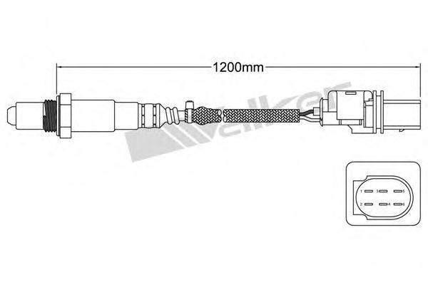 WALKER PRODUCTS 800-95006