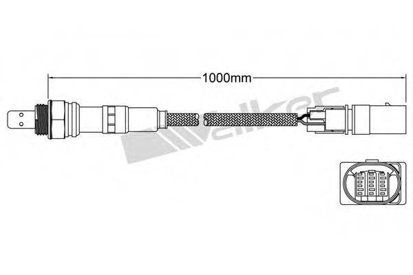 WALKER PRODUCTS 800-95018