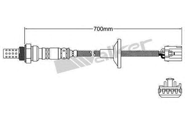 WALKER PRODUCTS 25024918 Лямбда-зонд