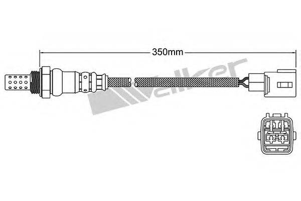 WALKER PRODUCTS 25024924 Лямбда-зонд