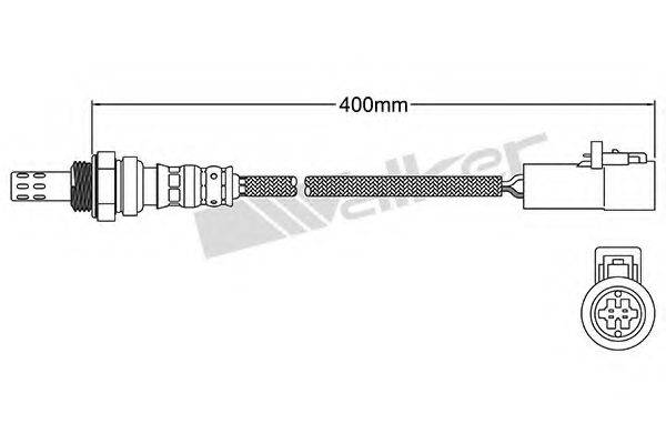 WALKER PRODUCTS 25024301 Лямбда-зонд