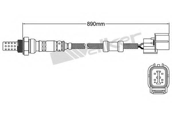 WALKER PRODUCTS 25024348 Лямбда-зонд