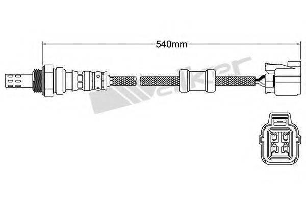 WALKER PRODUCTS 25024429 Лямбда-зонд