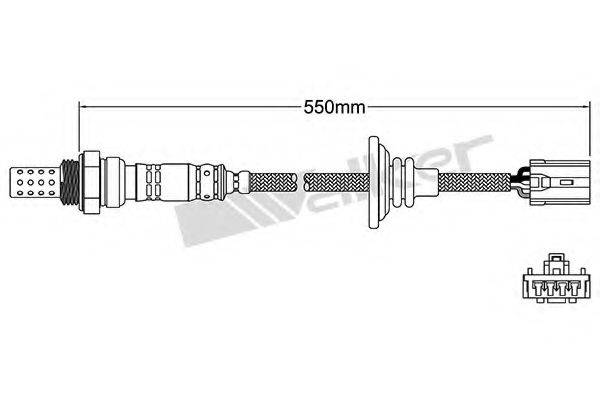 WALKER PRODUCTS 250-24224