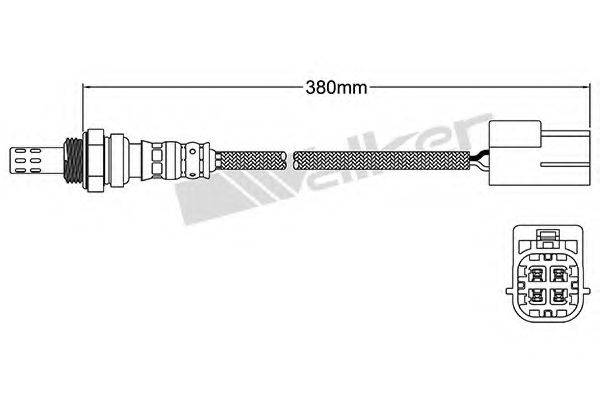 WALKER PRODUCTS 25024448 Лямбда-зонд