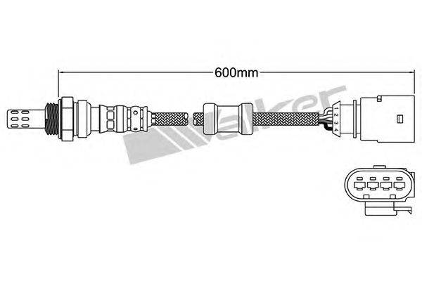 WALKER PRODUCTS 25024953 Лямбда-зонд