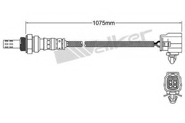 WALKER PRODUCTS 25024964 Лямбда-зонд