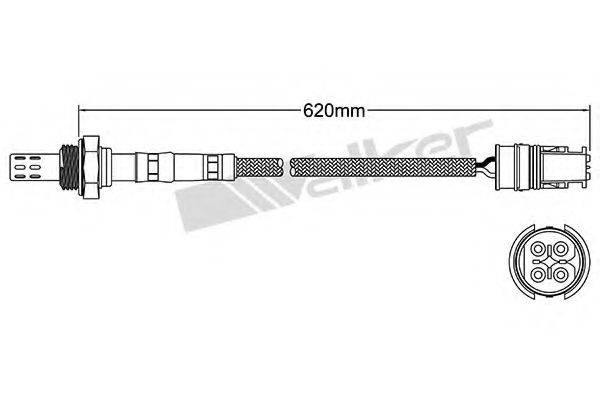 WALKER PRODUCTS 25024141 Лямбда-зонд