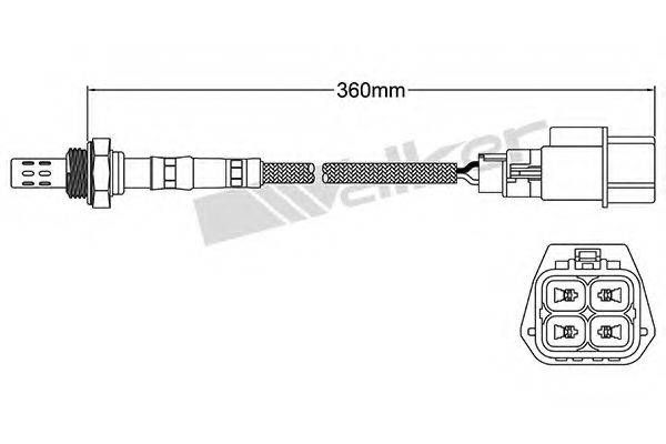 WALKER PRODUCTS 250-24434