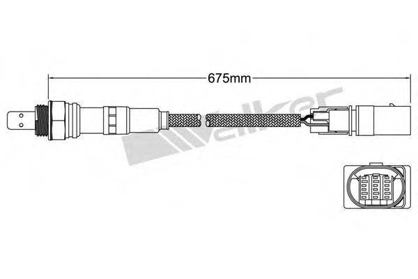 WALKER PRODUCTS 80095020 Лямбда-зонд