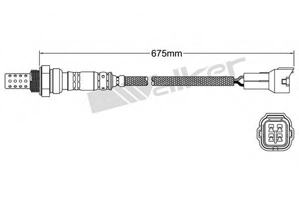 WALKER PRODUCTS 250241066 Лямбда-зонд