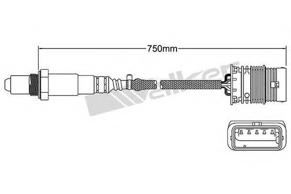 WALKER PRODUCTS 25025106 Лямбда-зонд