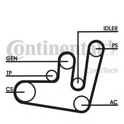 CONTITECH 6PK1660D1 Поликлиновой ременный комплект