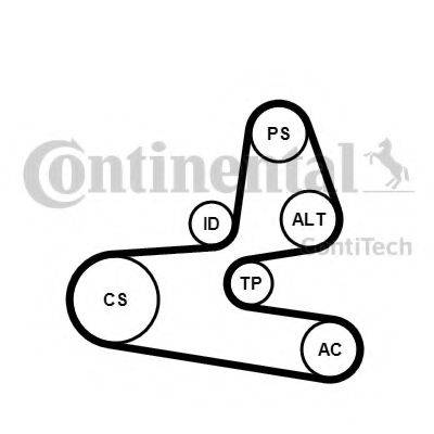 CONTITECH 6PK1564K1 Поликлиновой ременный комплект